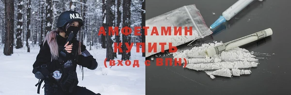 молекула духа Вяземский