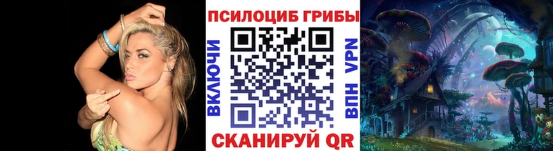 Псилоцибиновые грибы Psilocybine cubensis  Стерлитамак 